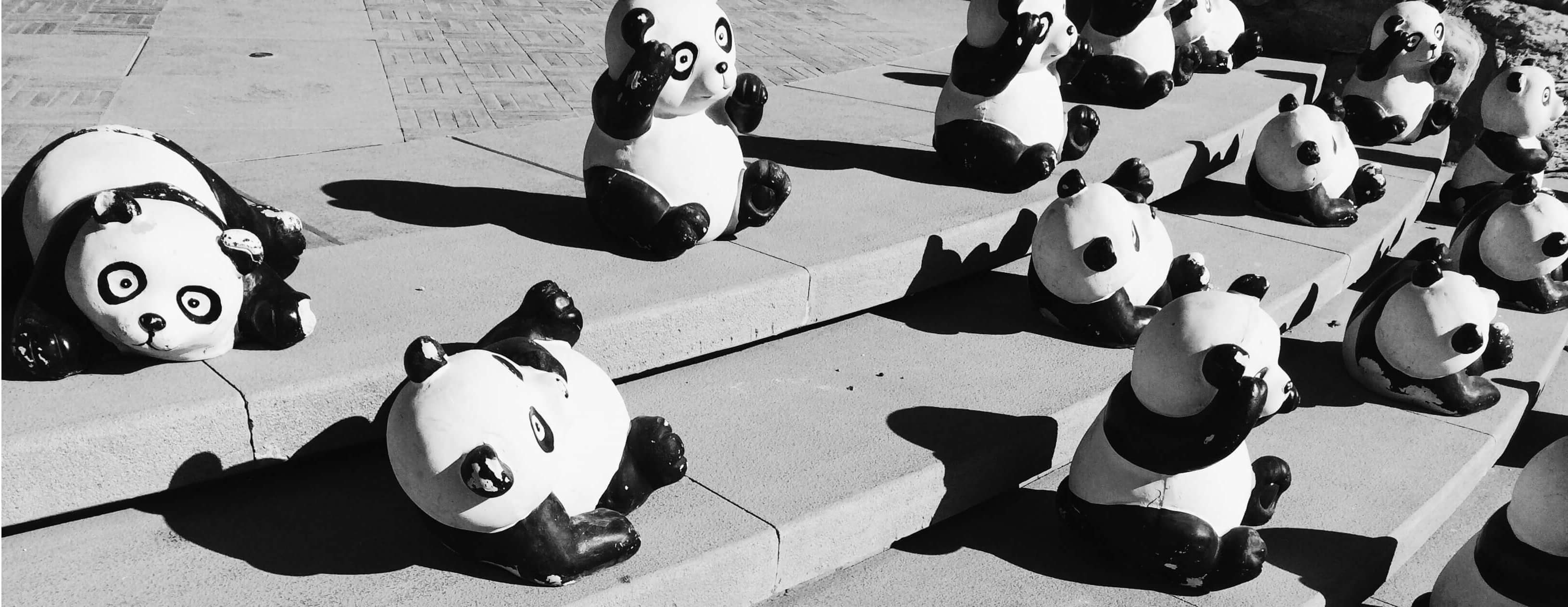 Google Panda Update 4.1