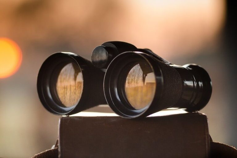 Kostenlose Keywordtools Kostenlose Keywordtools für SEO und PPC