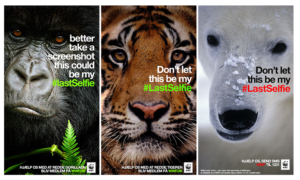 LastSelfie WWF Screenshot Beispiel Virales Snapchat Marketing