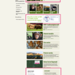 WWF Landingpage als Beispiel für Conversion Optimierung im Online Fundraising