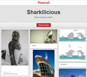 Statt Cat-Content: Hai-Content – Quelle: Pinterest.