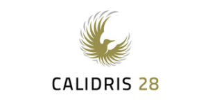 Calidris 28
