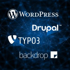 Entwicklung mit DDEV für Wordpress, TYPO3 und Co.