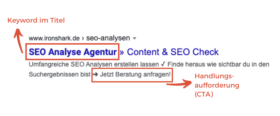 Meta Daten Check bei einer SEO Analysen Darstellung der Meta Daten