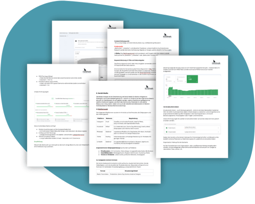 potenzialanalyse-ironshark-produkt Auszüge aus einer Beispiel-Potenzialanalyse aneinandergereit auf blauem Untergrund.